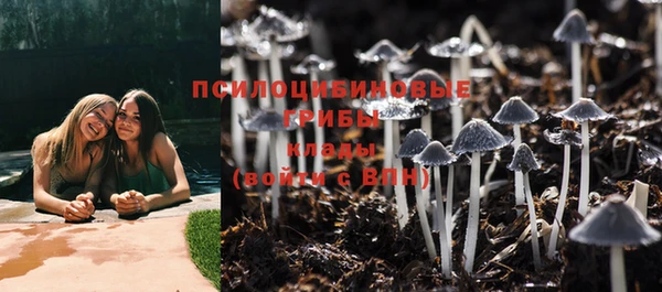 молекула духа Заводоуковск