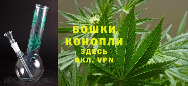 молекула духа Заводоуковск