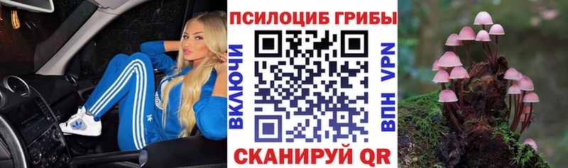 наркотики  Химки  Галлюциногенные грибы мицелий 